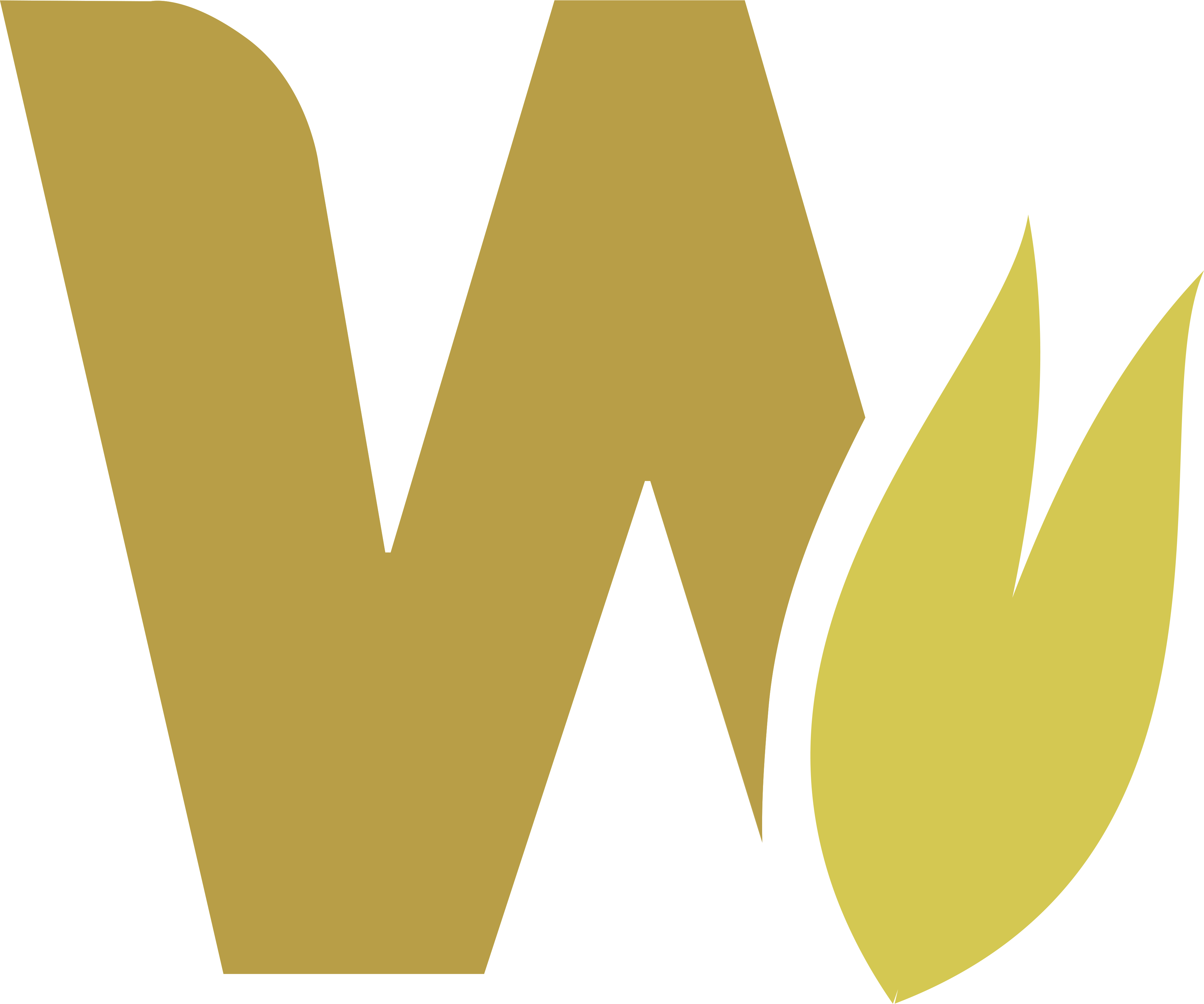 Westfiber W